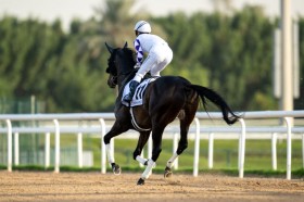 �y�S�h���t�B���}�C���z�����C�u��肽�����n�͏o�����v�y�v�`�h�i�C����11���ɔs���