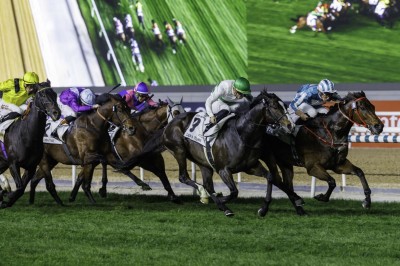 ソウルラッシュ デムーロ　世界限定 ホースレーシングカード 競馬　ドバイターフ 20250406-OHT1I51128-L.jpg