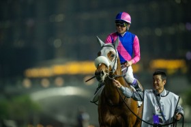 �y�h�o�C�^�[�t�z���L�u�ǂ�����ł����v���C�V���E�^�o���͓����S����5��