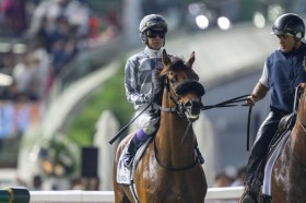 �yUAE�_�[�r�[�z���L�u�_�[�g�͏�肭���Ȃ����v�c�h���S����6��