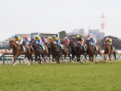ベラジオオペラ　23年　スプリングS　現地的中単勝馬券　大阪杯連覇 m76260853514_1.jpg?1743923022