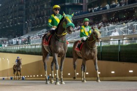 ��c����R��̋R���~����