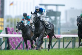 �y���-�n���u���NC�z���L�A�h�}�C���e��������