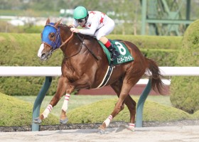 �y�A���^���XS�z�~�b�L�[�t�@�C�g���d��3���ځc���}�j���E���X��7���s��