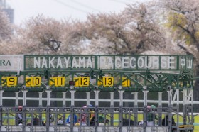 �y���RGJ�z�G�R���f���G������QG1�����e�c1�Ԑl�C�}�C�l���O�����̓S�[�������㉺�n