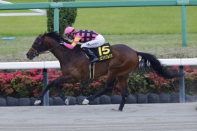 �y���tS�z�����C���R�� �C���r���V�u���p�p���N�₩�ȓ����؂�����߂�