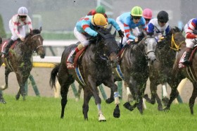 �y�t�܁z�G�l���W�R��������3�A���Ń_�[�r�[�ւ̌����l��