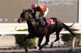 �y���m�E�l���\����ʁz�����A�C�t�@�[�L���O�Y�������c1�N3�����Ԃ�V