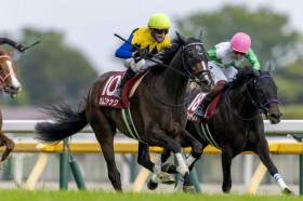 �y�t���[��S�z�V���^���P�R�� �J���j���b�N������