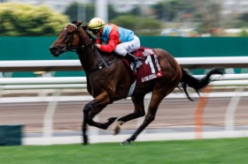 �y�`�F�A�}���Y�X�v�����g�v���C�Y�z�J�[�C�����C�W���O��12�A���c�T�g�m���[����2��