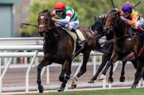 �y�N�C�[���G���U�x�X2��C�z�^�X�e�B�G�[�����N�₩�ɔ����o���c���o�e�B�A�C�����h�͋������~