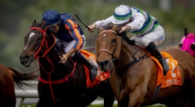 �y�`�����s�I���Y�}�C���z�{�E�}���u���t���݂���Ȃ��v�������b�h���C�I�����g�������o