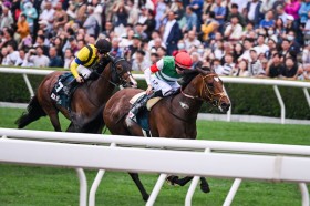 �y�N�C�[���G���U�x�X2��C�zJ.�}�N�h�i���h�u�悭�����Ă��ꂽ�v���[�X�k�b