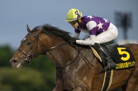 �A�x�̔M�C���㉟���I���É��O�����v���A���������R�[�h�X�V�ő吷���c�T�����C�Y�W�p���O��V