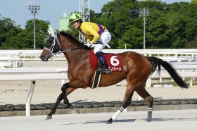 �n���̃L�~�m�n�[�g���哱���������ē����؂�V�I�g���^�K�����t���c��L�O�R��̃R���r�ł��ꂵ���d�܏����e