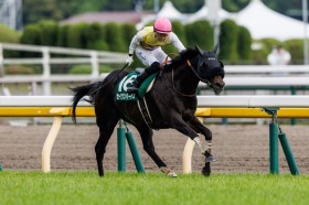 �y�G�v�\��C�z�Z�C�E���n�[�f�X�����R�[�hV