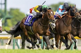 �yNHK�}�C��C�z�����p���W���^���[����g�������o�c2���͕��L�}�W�b�N�T���Y