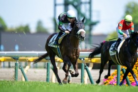 �y����7R�z�P��1.2�{ �V���n�i�[�_�������c���[�X�͏�����5������