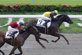 �y����6R�z�P��1.5�{�������A�J�t�F���l�C�ɉ�����