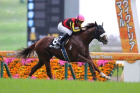 �y�e���ʔt�z�{�[�����h���l�C�ɉ�����3����