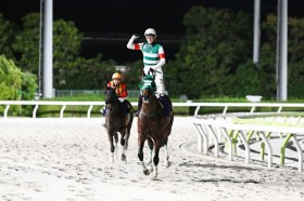 �y���L�O�z���C�g�E�H�[���A���ј\V�c����͑啝��