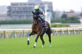 �y�I�[�N�X�z�����[���u�����ƈ����������Ă����v���[�X��W���b�L�[�R�����g