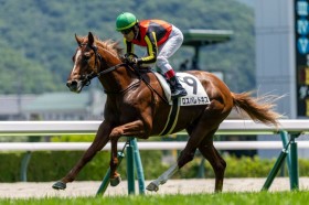 �y�V�n/����5R�z�W�I�O���t�S��E���X�p���h�l�X���f�r���[V