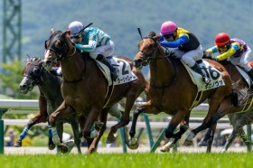 �y����2R�z3�A�P900�������̑�g���c11�Ԑl�C���[�V�����[����V