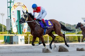 �y���ꃆ�[�XC�z�j�V�m�����_��4�n�g��V�c1�Ԑl�C�c���͂܂�����10������