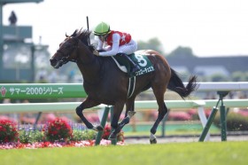 �y���ًL�O�z10�Ԑl�C���F���[�`�F�G�������R�[�hV