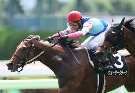 �y�b�R���ʁz���L�R�肪�A���c8R�Ɏ����ŃE�H�[�^�[�N���[�N��V