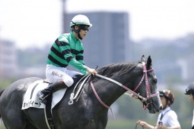 �y�V�n/���q5R�z�g�[�Z�����[�Y�� �L�����f�B�[�h���f�r���[V