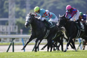 �y�k��B�L�O�z���}�j���A�����t����3�A���ŏd�܏�V�c�卬�킩�甲���o��