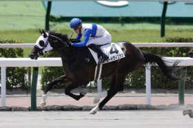 �y�V�n/���q6R�z�_�m���v���~�A���Y�� ���[�h���B�S���X���f�r���[V