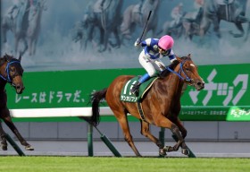 �y�����E�T�t�@�C�A�܁z8�Ԑl�C�T���J���v�\�������؂�V�I ���łőN�₩�d�܏����e