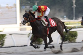 �y���m�E���F�K���ʁz�~�j�������͋��������o����V