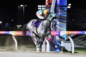 �y�X�p�[�L���O���f�B�[C�z���̃t�F�u�����V�F�����������j