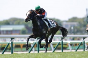 �y�V�n/����5R�z�u���N�X�A���h�����^���Y�� �n�C���[�}�[�N���f�r���[V