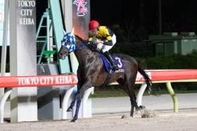 �y�T���^�A�j�^T�z�V�Δn���������E�I�[������V�c����E����͑O�N�䊄��