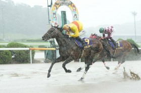 �y����E�g�샖���L�O�z�r�L�j�{�[�C�A���J��˂��������XV�I��c���l�u�M����̌��t�Ŏ��M���Ă��v