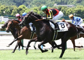 �y�V�n/���q5R�z�N���m�W�F�l�V�X���e�E�x���V�[�g������ȍ����؂�V