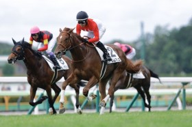 �y�V�n/����5R�z�A�[�e���A�X�g���A����E�A�[�����A���X���f�r���[V