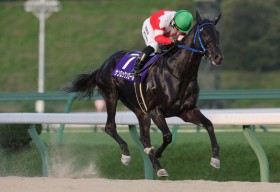 �y�����E��܂т��܁z�T�����b�N�����[����������8�n�g��V�I�s�����܂̌����l��