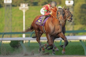 �y�}�[�L�����[C�z��c�R�� �J�Y�^���W���[�������ȍ����؂�V�c�Z���t�B�b�N�R�[����5��