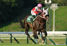 �y�����E�ሼ�܁z�R�{���Ɓu�Ń_�[�g���Ȃ��v�Z�C�N���X�e�B�[�i���d�܏�V