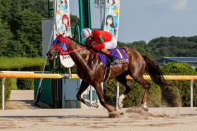 �y����E�����܁z���s�i�X�e�\�[���������؂�V�c�i�X��q�R��u���z�̌`�A�n�̎��͂ŗ����ł��ꂽ�v