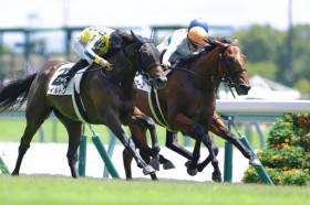 �y�V�n/����4R�z���[�h�J�i���A�Y�� �}�C�P���o���[�Y���f�r���[V