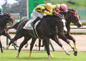 �y�V�n/�V��3R�z�\�[���I���G���X�����E�t�B���X�e�t�@�j���f�r���[V