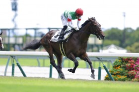 �y�V�n/����3R�z�V�X�L���Y�� ���b�N�^�[�~�K�����f�r���[V