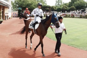 �y�V��1R�z�����[���u�}�C�����傤�Ǘǂ��v�f���n�f�B�A�_�C�������h������